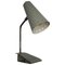 Grey Model Pinocchio Table or Wall Lamp by H. Busquetand and Hala Zeist, 1950s, Image 1