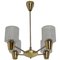 Mid-Century Chandelier from Kamenicky Senov, 1960s, Image 1