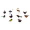 Swedish Art Glass Miniature Figures in the Form of Birds, 1970s, Set of 10 1