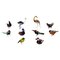 Swedish Art Glass Miniature Figures in the Form of Birds, 1970s, Set of 10, Image 1