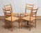Slim Beech Wicker Model Gracell Dining Chairs by Yngve Ekström for Gemla, 1960s, Set of 4, Image 6