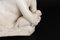 19th Century Carrara Marble Sculpture 3