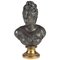 Diana Bust, Metal, Image 1