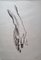 Unknown, Study of a Hand, Original Drawing on Tissue Paper, Mid-20th Century, Image 1