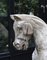 Rocking Horse in English Oak, Image 13