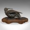 Antique Bronze & Mahogany Decorative Small Bird, 1900s 4