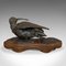 Pájaro decorativo antiguo pequeño de bronce y caoba, década de 1900, Imagen 4