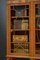 Large Edwardian Satinwood Display Cabinet 12