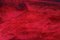 Mesa de caoba y pergamino rojo de Aldo Tura, años 60, Imagen 10