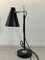 Model 201 Adjustable lamp by Giuseppe Ostuni for Oluce, 1950s 8