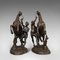 Antique French Marly Horses in Bronze after Coustou, Set of 2, Image 6