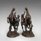 Chevaux Marly Antiques en Bronze, France, Set de 2 6