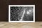 Orilla del Caribe en arenosa, blanco y negro Foto clásica, edición limitada Giclée 2020, Imagen 8