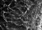 Orilla del Caribe en arenosa, blanco y negro Foto clásica, edición limitada Giclée 2020, Imagen 5