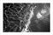 Orilla del Caribe en arenosa, blanco y negro Foto clásica, edición limitada Giclée 2020, Imagen 1