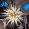 Mid Century Sputnik Murano Glass and Brass Italian Chandelier 12