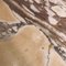Aparador estilo italiano Mid-Century de mármol Siena y de madera de abedul maciza, Imagen 12
