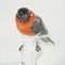 Figurine Oiseau Antique en Porcelaine de Meissen 6