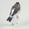 Antike Vogelfigur aus Porzellan von Meissen 3