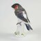 Antique Porcelain Bird Figurine from Meissen, Image 2