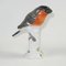 Figurine Oiseau Antique en Porcelaine de Meissen 4