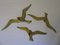 Vintage Brass Bird Wall Decorations, Set of 3 14