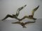 Vintage Brass Bird Wall Decorations, Set of 3 12