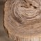 Petrified Wood Fossil Nesting Tables on Chrome Bases, Set of 3, Image 7
