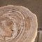 Tavolini a incastro Fossil in legno pietrificato con base cromata, set di 3, Immagine 4