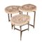 Petrified Wood Fossil Nesting Tables on Chrome Bases, Set of 3, Image 1