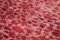 Roter Anatolischer Handgeknüpfter Überfärbter Teppich aus Wolle 5