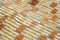 Multicolor Oriental Hand Knotted Wool Flatwave Kilim Carpet 5