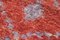 Vintage Red Handmade Wool Flatweave Kilim Carpet 5