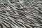 Tappeto Kilim Flatwave geometrico a lana grigio annodato a mano, Immagine 5