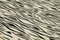 Beigefarbener handgeknüpfter Flatwave Kilim Teppich aus orientalischer Wolle 5