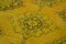 Anatolischer gelber handgeknüpfter Vintage Teppich in Überfärbung 5