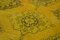 Vintage Anatolian Yellow Hand Knotted Overdyed Runner Rug 5