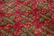 Tappeto vintage in lana rossa annodata a mano, Immagine 5