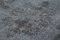 Grey Oriental Low Pile Handwoven Overd-yed Rug, Image 5