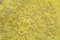 Yellow Oriental Hand Knotted Wool Overdyed Runner Rug, Image 5