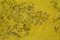 Tappeto antico giallo annodato a mano in lana intrecciata a mano, Immagine 5
