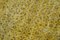 Tappeto antico giallo annodato a mano in lana intrecciata a mano, Immagine 5