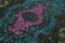 Tappeto viola annodato a mano color anatolia, Immagine 5