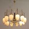 Mid-Century Modern Brass and Opaline Glass 12-Light Chandelier from Stilnovo, Italy, 1950s 8