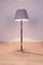 Dänische Mid-Century Palisander Stehlampe, 1960er 4