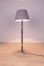 Mid-Century Danish Rosewood Floor Lamp, 1960s 4