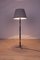 Dänische Mid-Century Palisander Stehlampe, 1960er 3