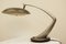 Midcentury Spanish Desk Lamp from Fase Madrid 3