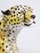 Ceramic Cheetah, Italy, 1950s 2