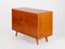 Mid-Century U453 Sideboard von Jiri Jiroutek für Interior Prague, 1960er 6